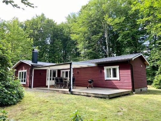 Stuga i bokskogen invid en sjö - Bild 7
