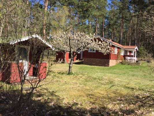 Charmigt sommarhus i Stora Rör – stor naturtomt - Bild 3