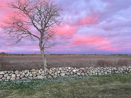 Charmigt sommarhus i Stora Rör – stor naturtomt - Bild 24