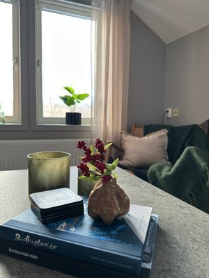 Hus i Åre Björnen med ski-in/ski-out - Bild 14