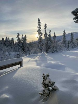 Retro fjällstuga Storhogna – bastu, braskamin - Bild 22