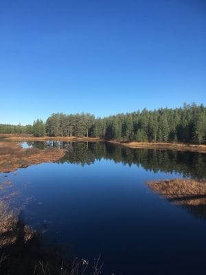 Hus uthyres vid Vindelälven i Bjursele - Bild 9