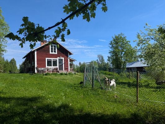 Timrad stuga nära fjällen - Bild 5