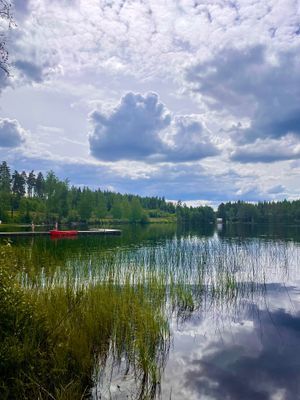 Kungsberget, Järbo - Bild 64