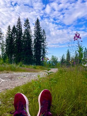 Kungsberget, Järbo - Bild 58