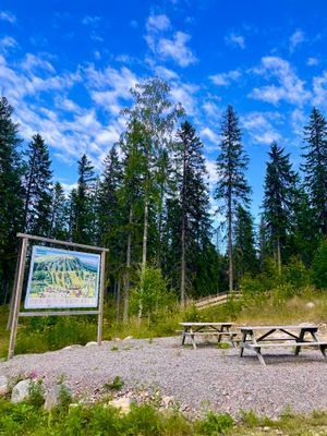 Kungsberget, Järbo - Bild 60