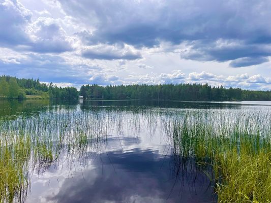 Kungsberget, Järbo - Bild 65