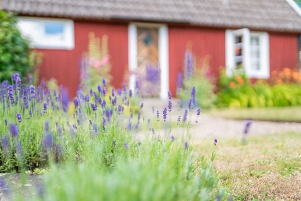 Charmigt gästhus 5 min från bron- Sängkläder inkl. - Bild 5