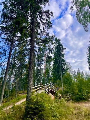 Kungsberget, Järbo - Bild 59