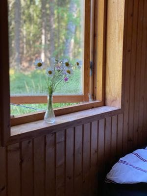 Off-grid utan grannar! - Bild 15