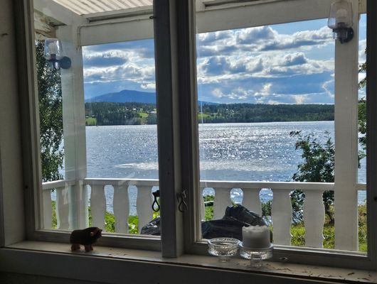 Vackert läge med 15 min till skidbackar - Bild 12