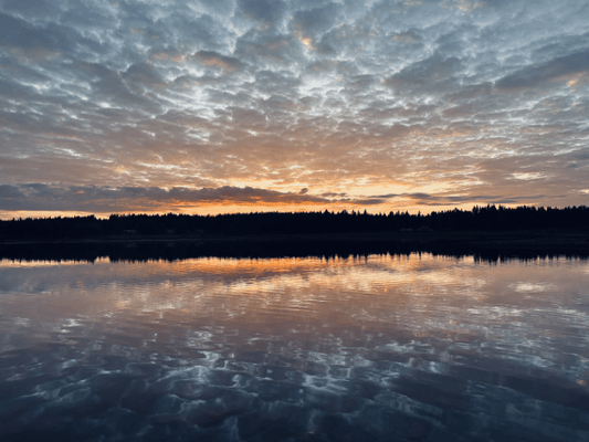 Havsutsikt & lugnet i naturen - Bild 7