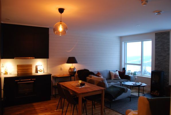 Herlig leilighet i Sadeln, 100% ski in/out! - Bild 17