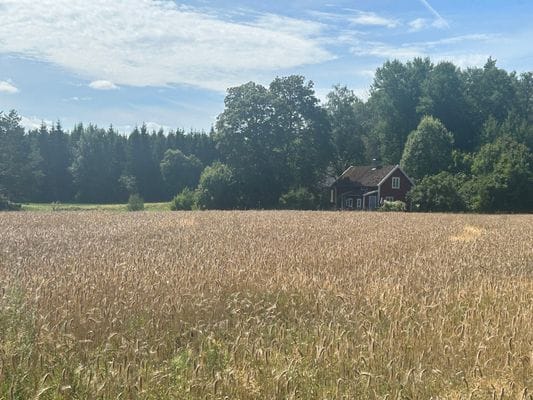 Mysigt torp - Bild 40