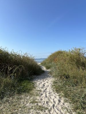 En gårdsdröm invid Sveriges sydligaste spets - Bild 19