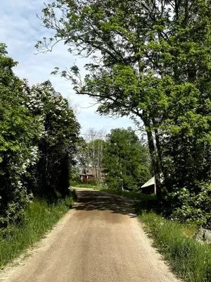 Mysigt 1700-tals torp i Stockholms skärgård - Bild 22