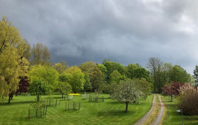 TRÄDGÅRD OCH KÖRVÄG TILL HUS OCH STUGA