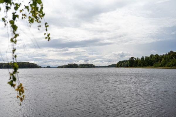 Sjöhuset - båtar, strand, bastu, brygga och grill! - Bild 69