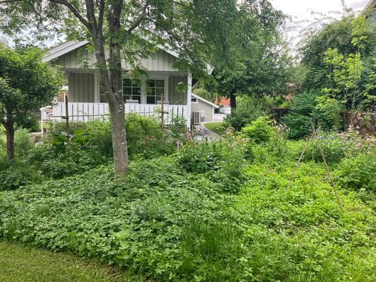Stuga med veranda i Röstånga - Bild 2