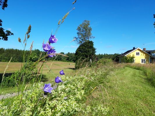 Naturskön och lantlig idyll mellan sjöar. - Bild 27