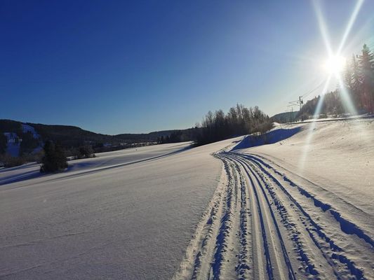 TANDÅDALEN vecka 8 Ski in- Ski out 6 bäddar - Bild 3