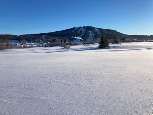 TANDÅDALEN vecka 8 Ski in- Ski out 6 bäddar - Bild 4