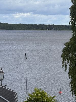 Gästhus 2: Utsikt från ingången