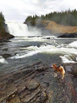 Högt belägen på Copper Hill berget - Bild 14