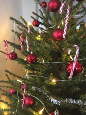 Åre naturnära vinterlodge anno 1931 - Bild 11