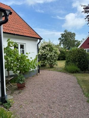 Gårdshus i Arild - Bild 16