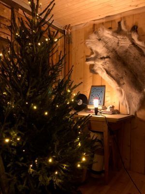 Åre naturnära vinterlodge anno 1931 - Bild 10