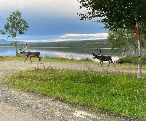 Stora Lugnet Storsjö Kapell - Bild 28