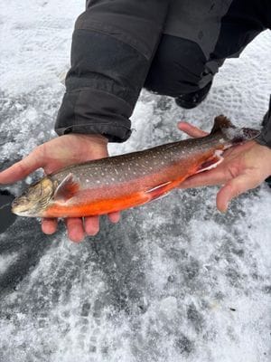 Stora Lugnet Storsjö Kapell - Bild 21