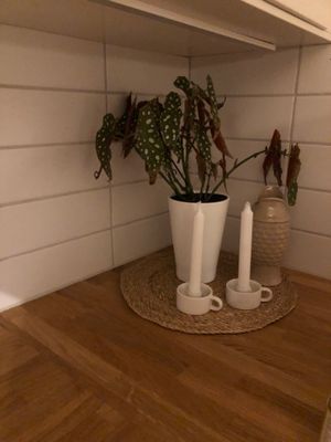 Hus för sommar- och vinterboende med nära sjöläge - Bild 25