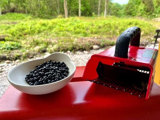 Skogsdröm nära hav och skärgård - Bild 17