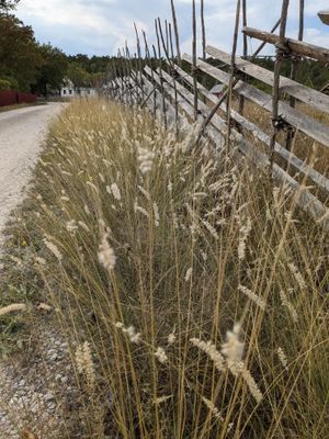 Havsnära stuga Lickershamn - Bild 11