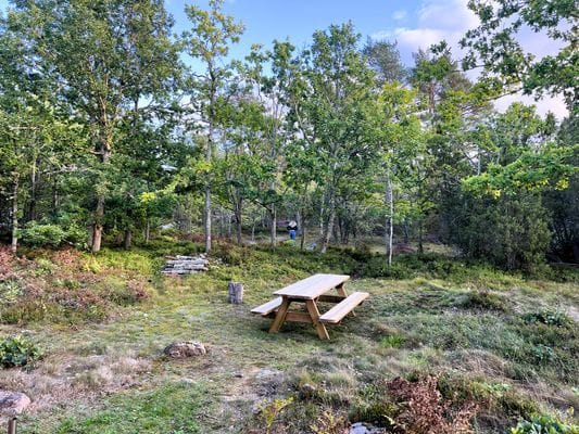 Skogsdröm nära hav och skärgård - Bild 27