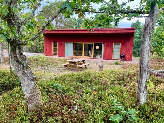 Skogsdröm nära hav och skärgård - Bild 10