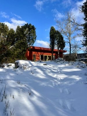 Skogsdröm nära hav och skärgård - Bild 11