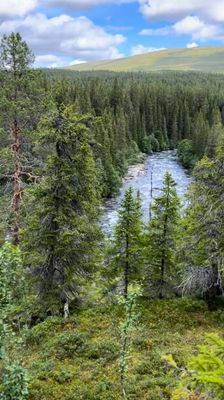 Nybyggd fjällstuga med alla bekvämligheter - Bild 20