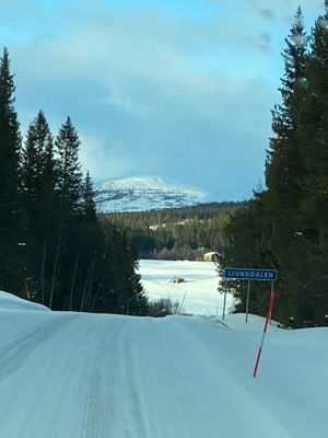 Nybyggd fjällstuga med alla bekvämligheter - Bild 19