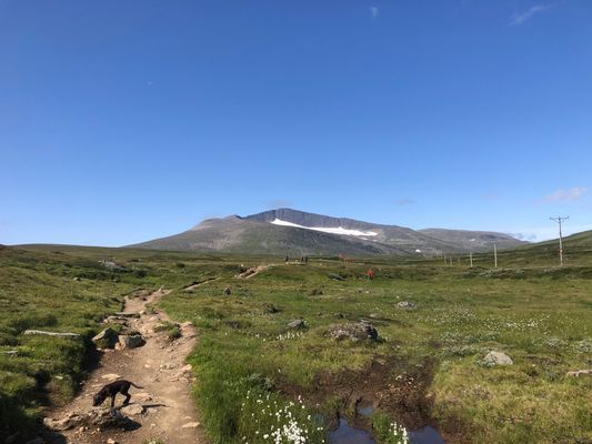 Nybyggd fjällstuga med alla bekvämligheter - Bild 23