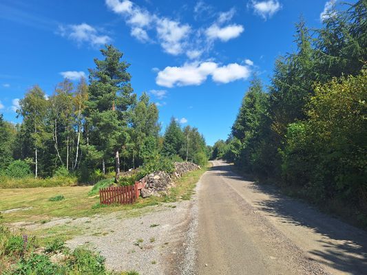 Duverum 315 - Bild 2