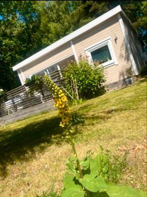 Mysig familjevänlig stuga vid havet - Bild 14