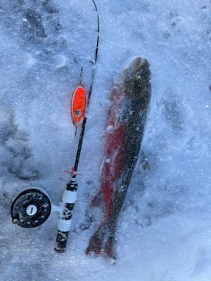 Nybyggd fjällstuga med alla bekvämligheter - Bild 22