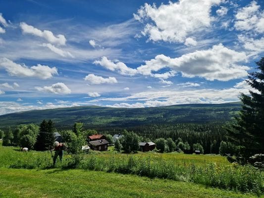 Mycket fint fjällhus nära Åre - Bild 5