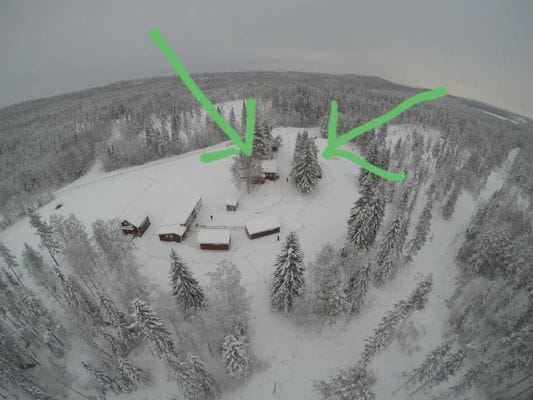 Skogsidyll i Jämtland - natur, lugn - Bild 13