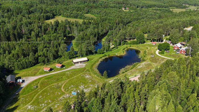 Bäverstugan - Bild 3