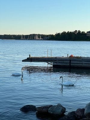 Idyllisk sjötomt för upp till 3 familjer, Värmdö - Bild 47