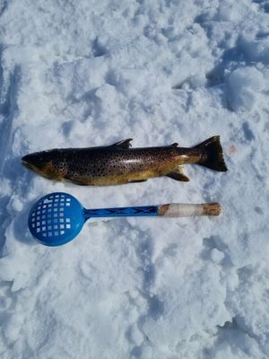 Stuga i Högvålen, Sveriges högst belägna by - Bild 8